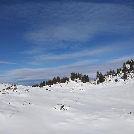 Le Chalet Theys Eksteriør bilde