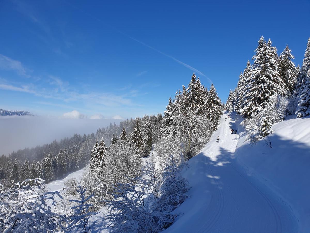 Le Chalet Theys Eksteriør bilde